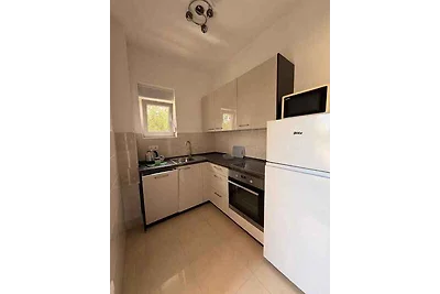 Ferienwohnung Apartment Nikola 3+1