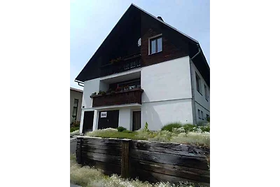 Ferienwohnung im Skigebiet auf