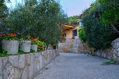 Idyllisches Ferienhaus Eastern Paradise mit M