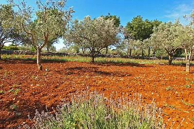 Villa mit Swimmingpool und Sonnenterrasse