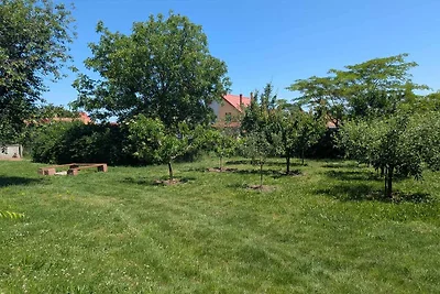 Ferienhaus mit Terrasse und grossem Garten