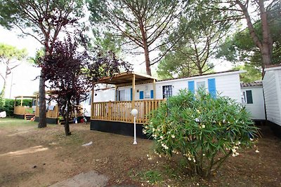 Mobilehome mit Schwimmbad und Sportplatz