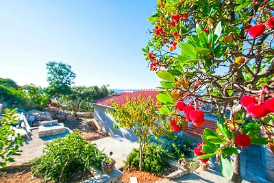 Ferienhaus mit Grill und Garten
