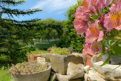Ferienwohnung mit schön dekorierter Terrasse 