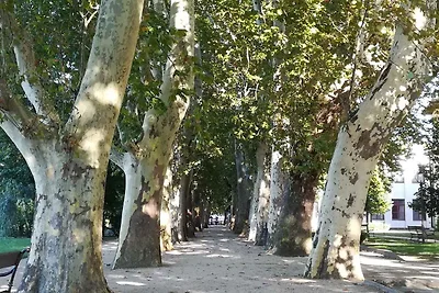 Ferienwohnung nähe zum Stadtzentrum im Grüngü