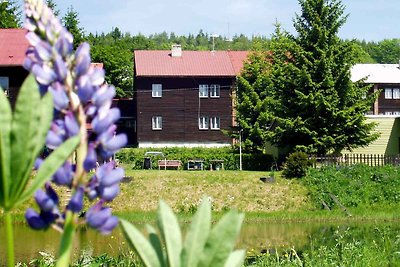 Vakantieappartement Gezinsvakantie Marianska-Jachymov