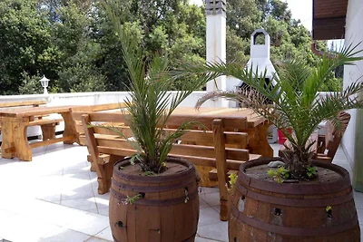 Ferienwohnung mit schöner Terrasse und