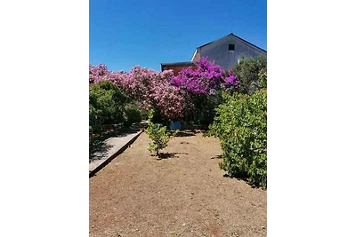 Vakantieappartement Gezinsvakantie Mali Lošinj