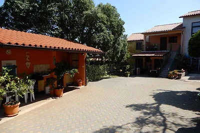 Ferienwohnung mit Garten und Grill zur gemein