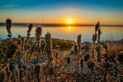 Gemütliche Ferienwohnungen Lucija in ruhiger 