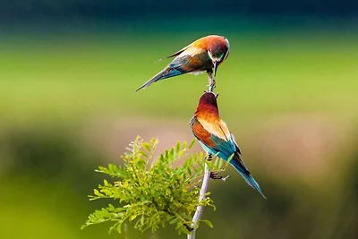 Appartamento Vacanza con famiglia Rosolina