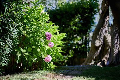 Vakantieappartement Gezinsvakantie Cassone di Malcesine