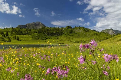 Ferienwohnung mit Balkon