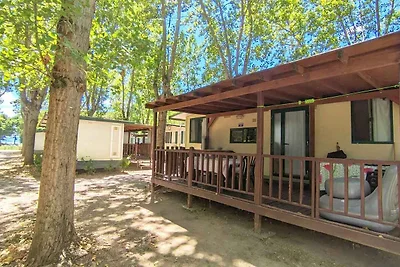 Vakantiehuis Ontspannende vakantie Perugia