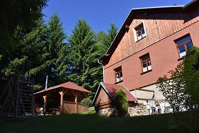 Appartamento Vacanza con famiglia Klingenthal