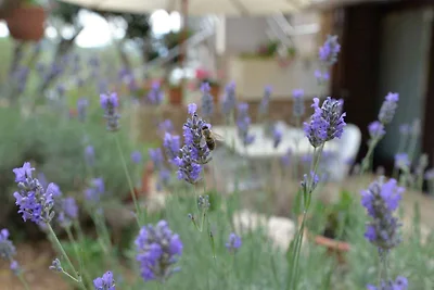 Ferienwohnung mit Klimaanlage und Internet