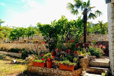 Gemütliche Ferienwohnung Nar in Vinišće mit M