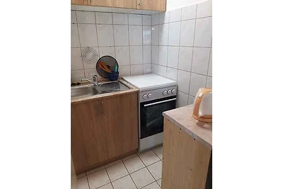 Ferienwohnung mit grossem Garten
