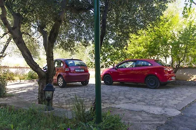 Appartamento Vacanza con famiglia Vodice