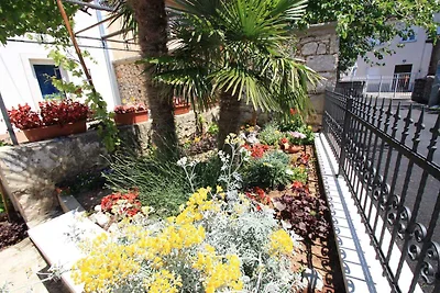 Ferienwohnung mit Balkon und Meerblick