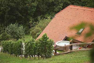 Ferienhaus in the vineyards