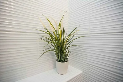 Ferienwohnung mit Klimaanlage und Balkon