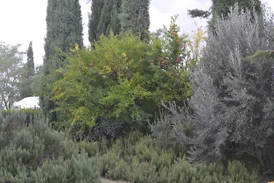 Ferienhaus mit Klimaanlage, Pool und privaten