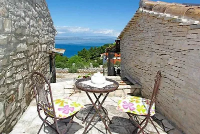 Vakantiehuis Ontspannende vakantie Vela Luka