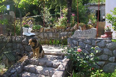 Ferienhaus mit Garten und Meerblick