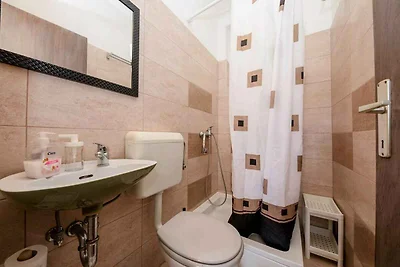 Geräumige und komfortable Ferienwohnung mit s