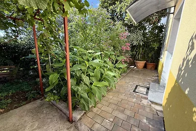 Ferienwohnung Ferienwohnung Ruza 4