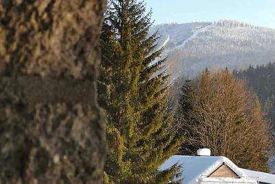 Ferienhaus am Wald mit Veranda