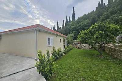 Ferienhaus mit Klimaanlage und Terrasse