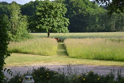 Ferienwohnung in der Natur mit Terrasse
