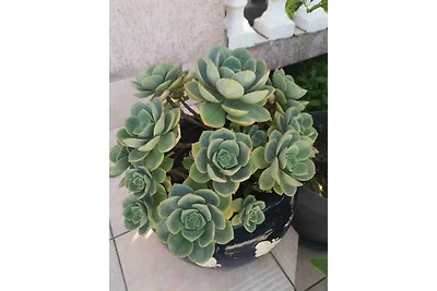 Ferienwohnung Familienfreundlich mit Klimaanl