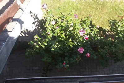 Studio mit Grillmöglichkeit im Garten