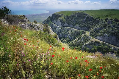 Casa de vacaciones Vacaciones de reposo Vieste
