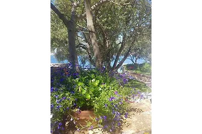 Vakantieappartement Gezinsvakantie Rogoznica