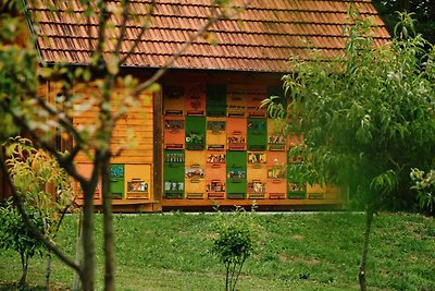 Holiday home relaxing holiday Mokronog-Trebelno