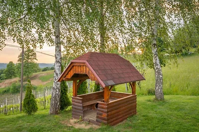 Ferienhaus auf dem Weinberghügel in der Nähe 