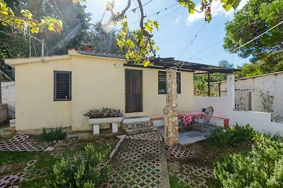 Casa de vacaciones Vacaciones de reposo Rogač