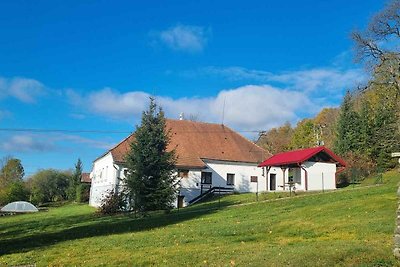 Ferienhaus mit Aussenpool