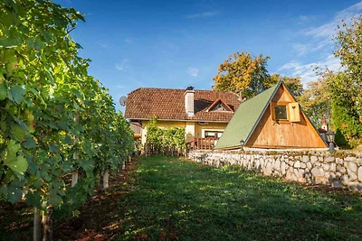 Casa vacanze Vacanza di relax Slovenia