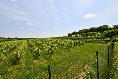 Ferienhaus mit Garten und Klimaanlage