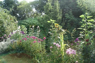 Ferienhaus mit Garten und Terrasse, 800 m zum