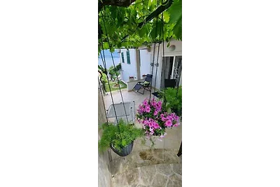 Ferienwohnung Mit Internet und