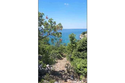 Casa vacanze Vacanza di relax Starigrad
