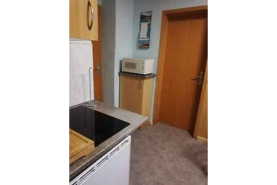 Appartamento Vacanza con famiglia Ilmenau