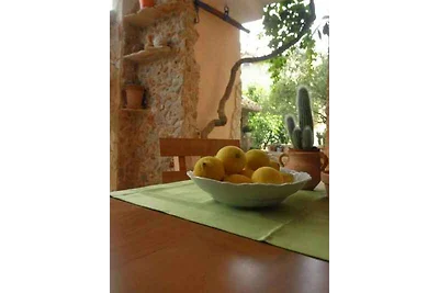 Vakantieappartement Gezinsvakantie Tribunj