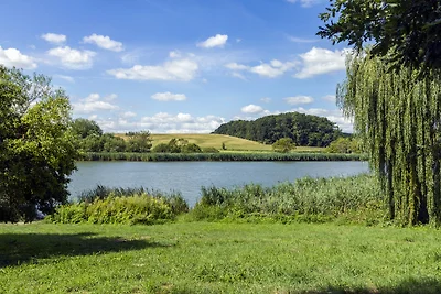 Vakantiehuis Ontspannende vakantie Buzsak